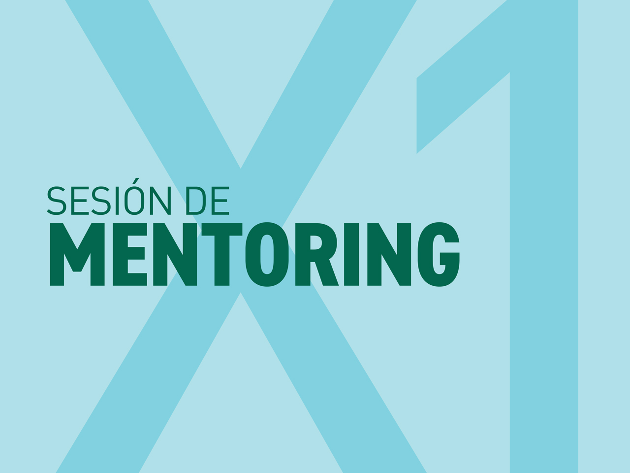 Mentoring x1
